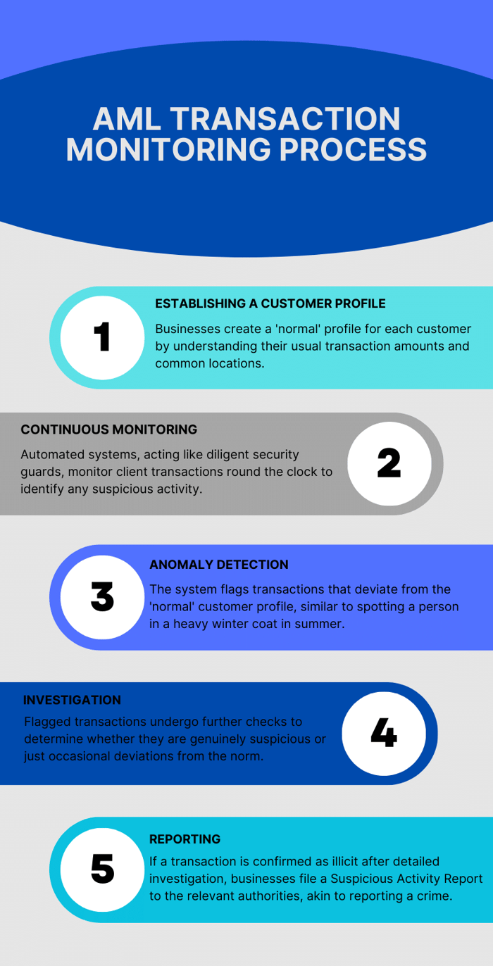 AML Transaction Monitoring Process