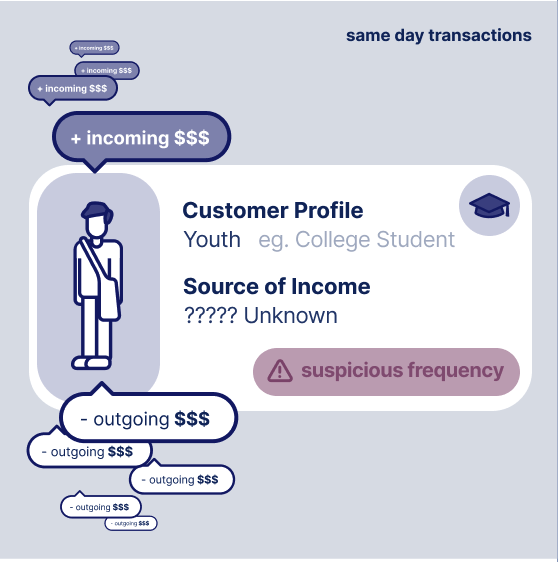 Money muling - Typology