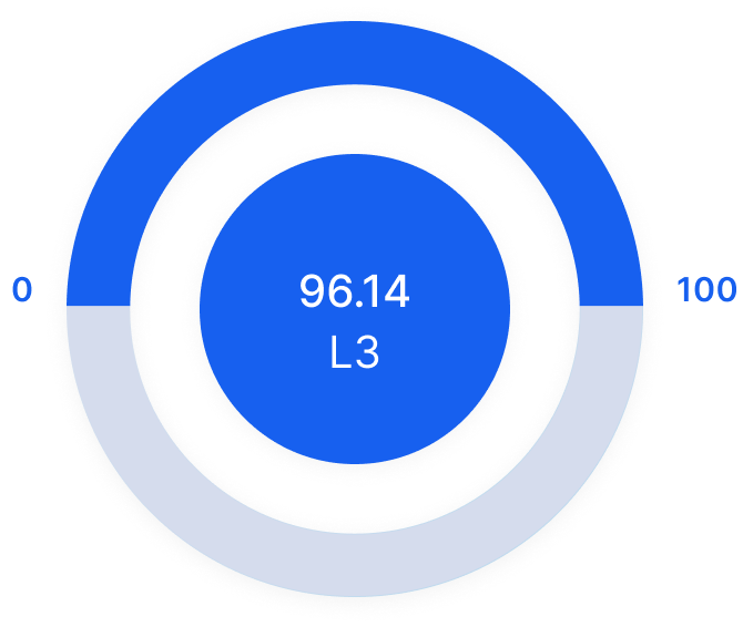 rsik-level